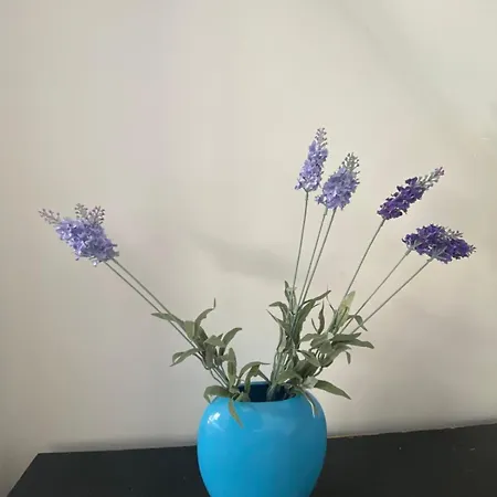 Ag45 - La Tranquillite Bleu Maison Avec Jardin Terrasse Сasa de vacaciones Ault